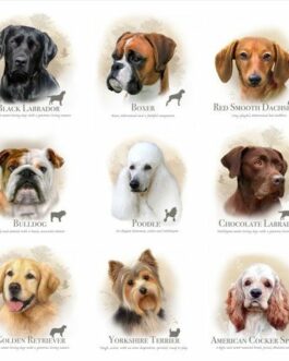 Dog Breeds