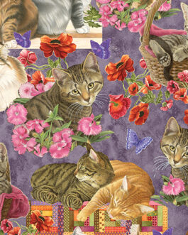 Cats & Quilts